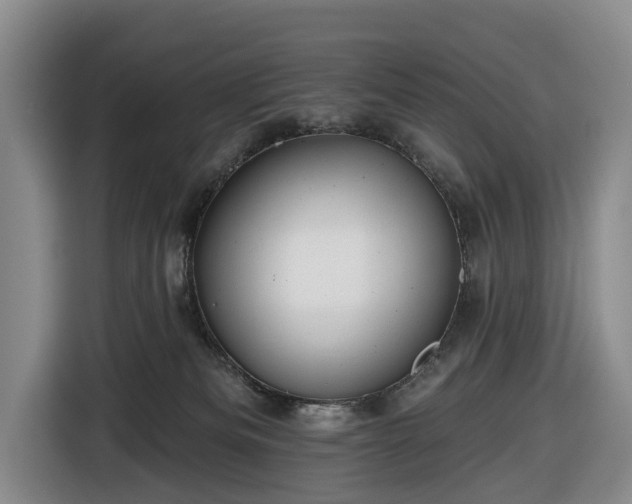 X0000116450133200912151308