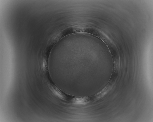X0000116450134200912151307
