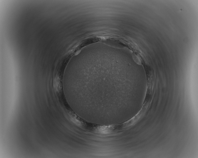 X0000116450136200912151307