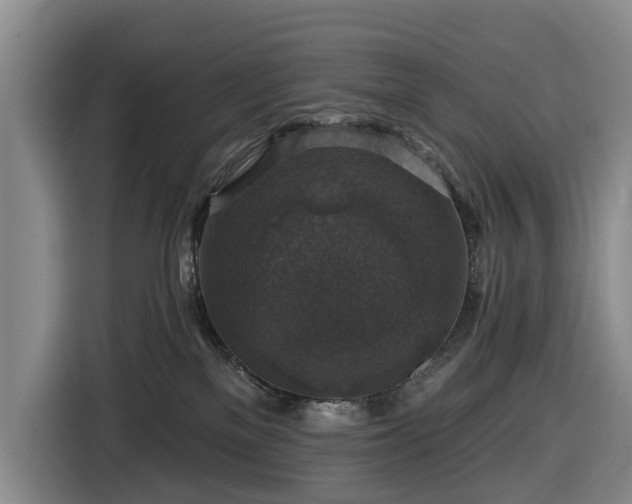 X0000116450137200912151307