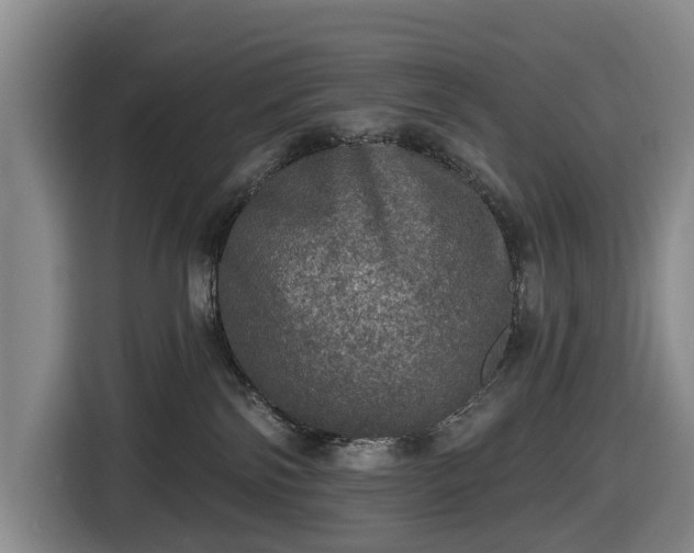 X0000116450138200912151307