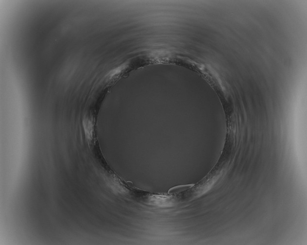 X0000116450139200912151307