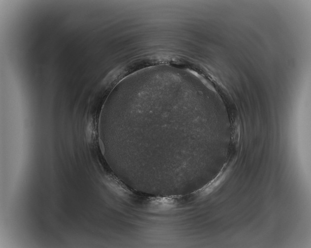 X0000116450140200912151307