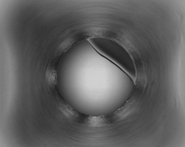 X0000116450141200912151307
