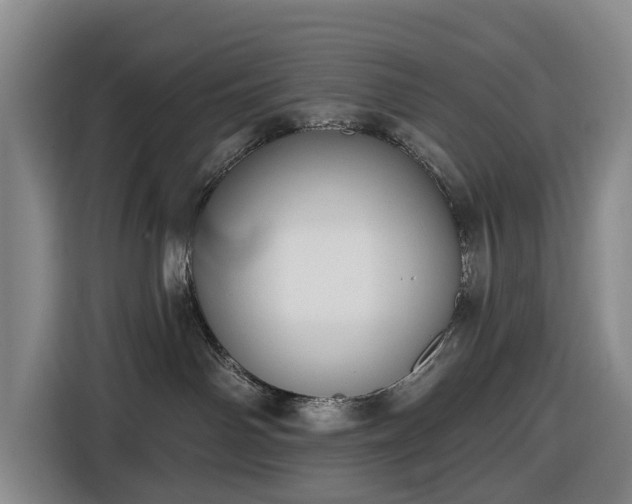 X0000116450142200912151307