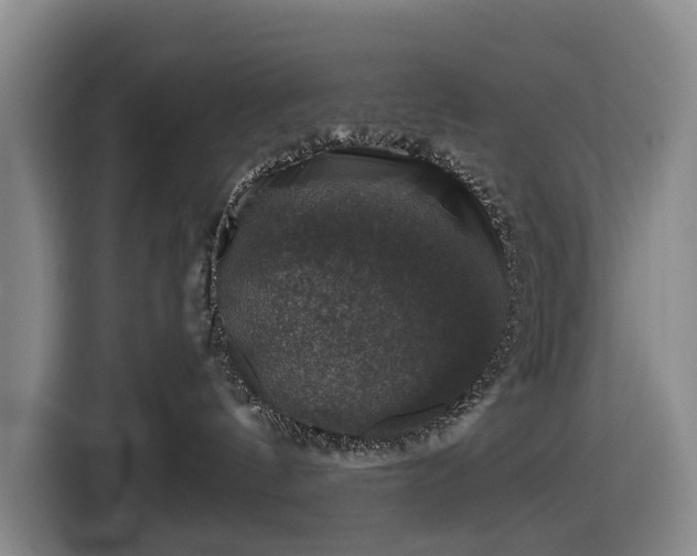 X0000116450144200912151307
