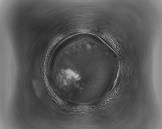 X0000116450145200912151307