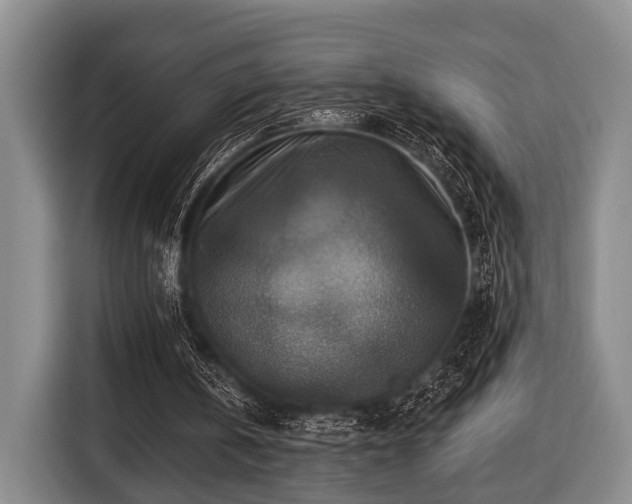 X0000116450146200912151307