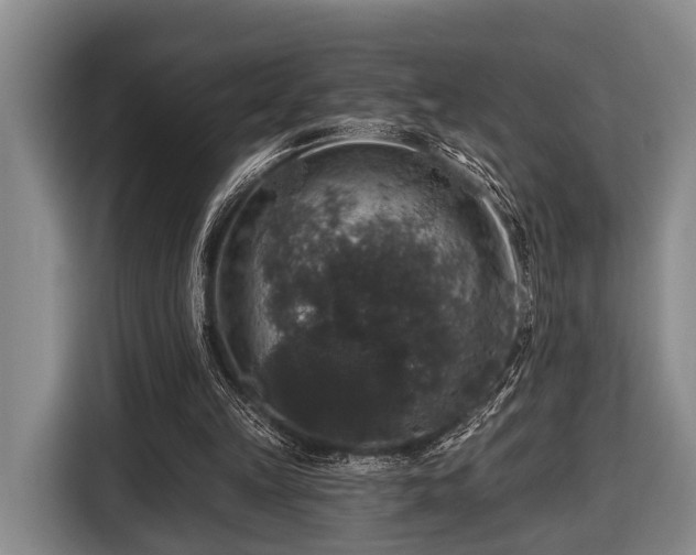 X0000116450149200912151307