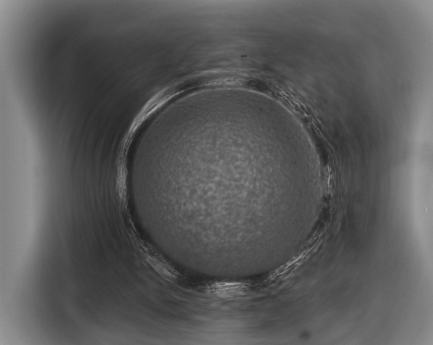 X0000116450150200912151307