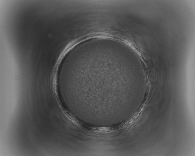 X0000116450151200912151307