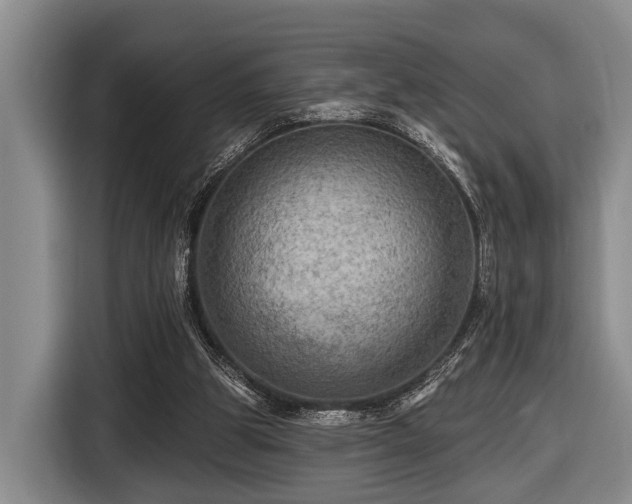X0000116450153200912151307