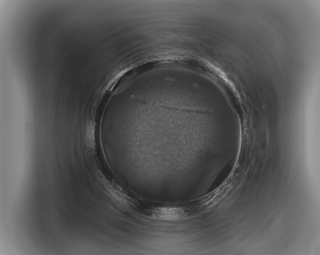 X0000116450154200912151307