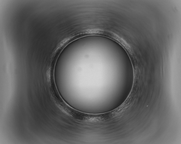 X0000116450155200912151307