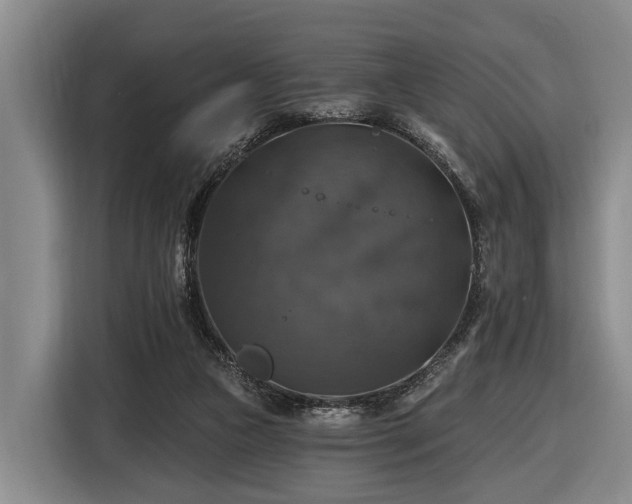 X0000116450161200912151307
