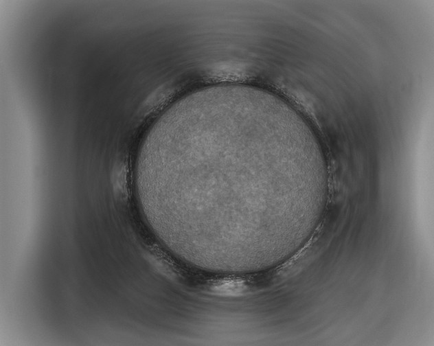 X0000116450162200912151307