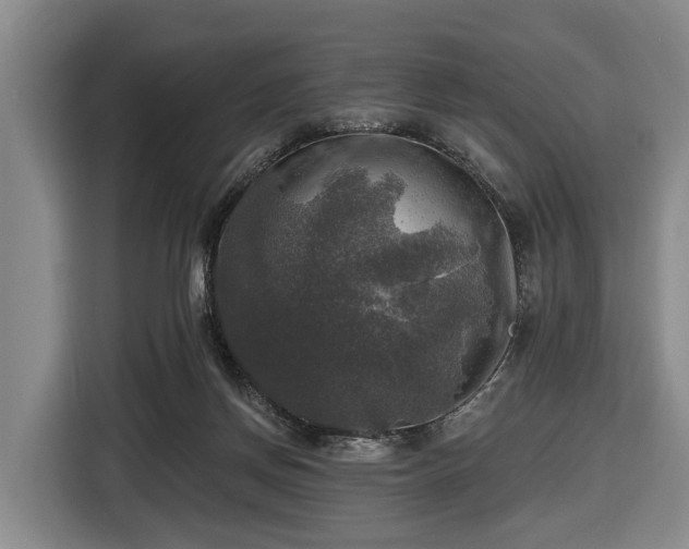 X0000116450166200912151307