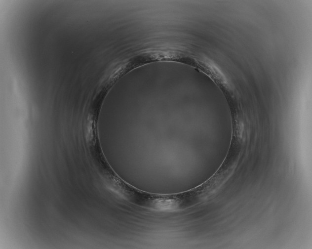X0000116450169200912151307