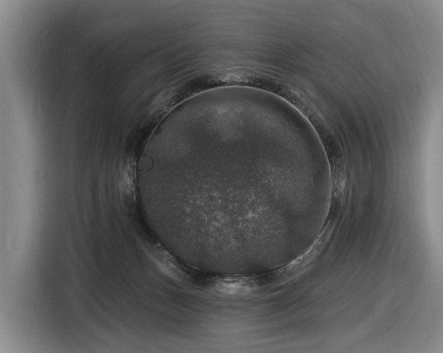 X0000116450175200912151307