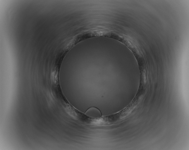 X0000116450177200912151307