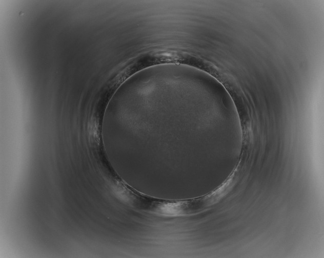 X0000116450178200912151307