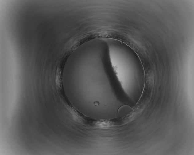 X0000116450181200912151307