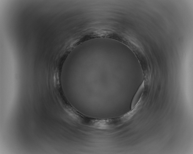 X0000116450182200912151307