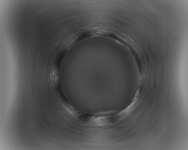 X0000116450186200912151307