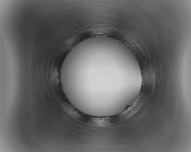 X0000116450187200912151307