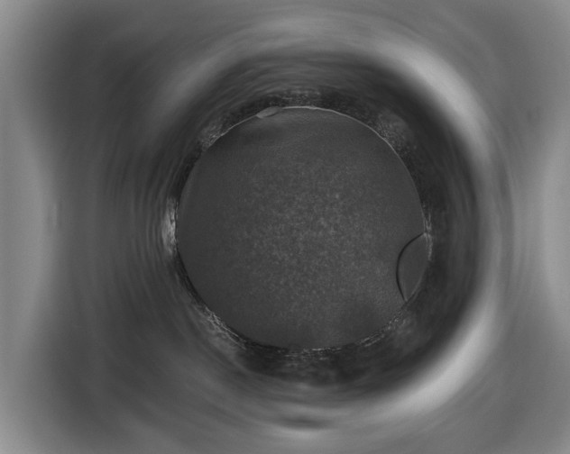 X0000116450190200912151307