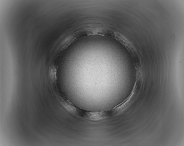 X0000116450191200912151307