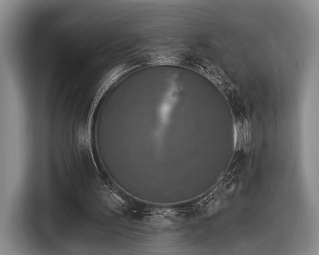 X0000116450195200912151307