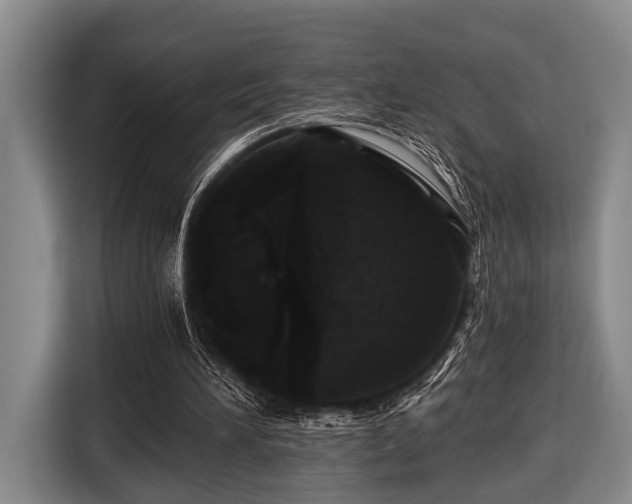 X0000116450196200912151307
