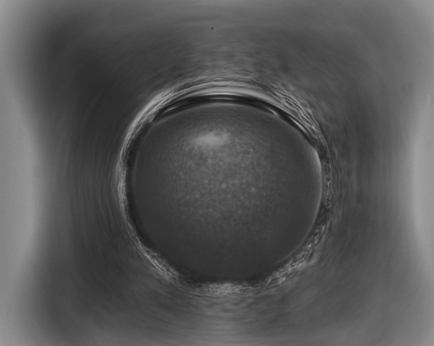 X0000116450197200912151307