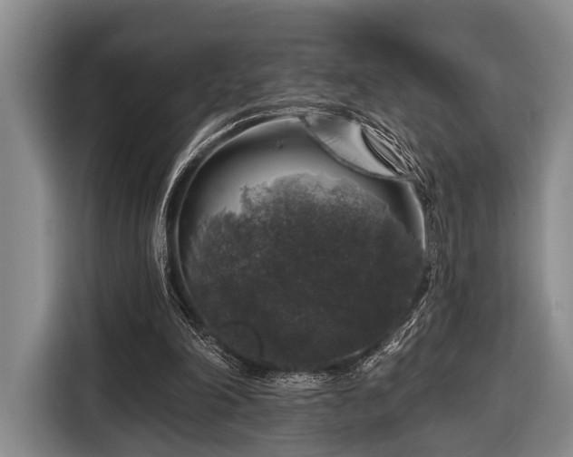 X0000116450198200912151307