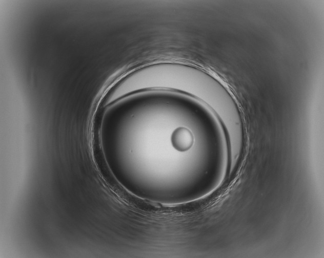 X0000116450199200912151307
