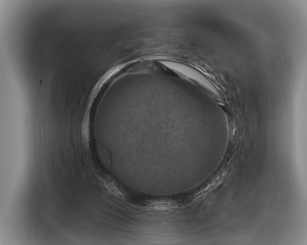 X0000116450200200912151307