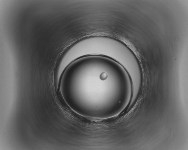 X0000116450201200912151307