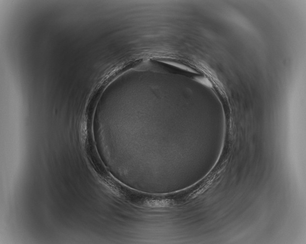 X0000116450202200912151307