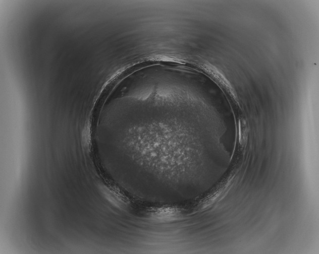X0000116450204200912151307