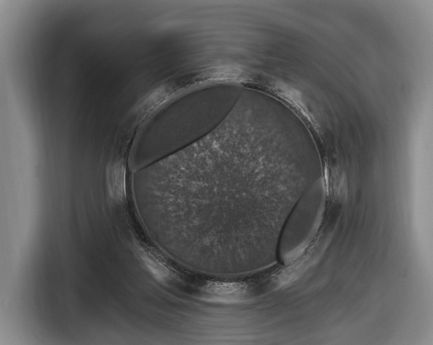 X0000116450205200912151307