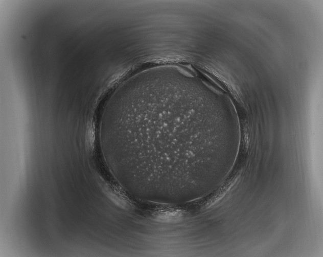 X0000116450206200912151307