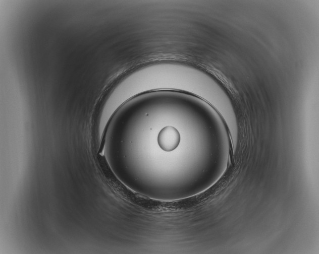 X0000116450207200912151307