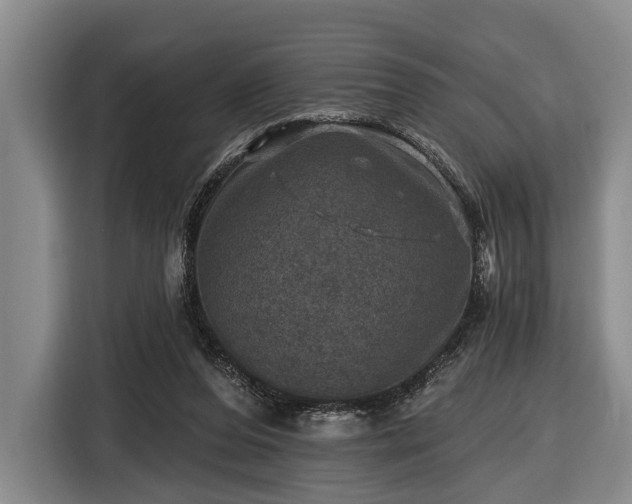 X0000116450208200912151307
