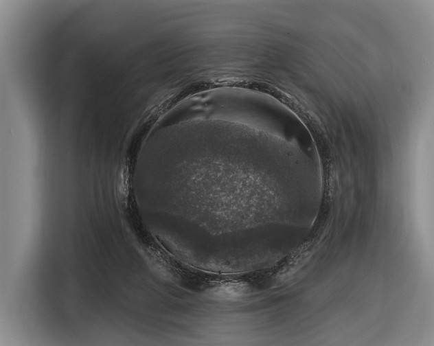 X0000116450210200912151307