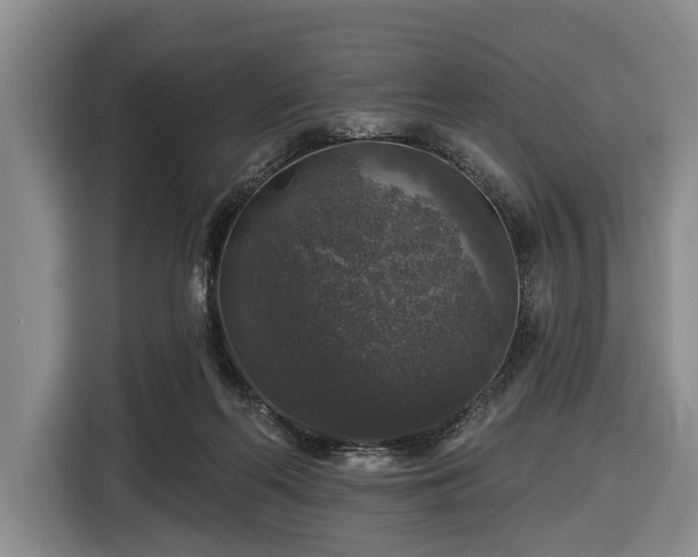 X0000116450214200912151306