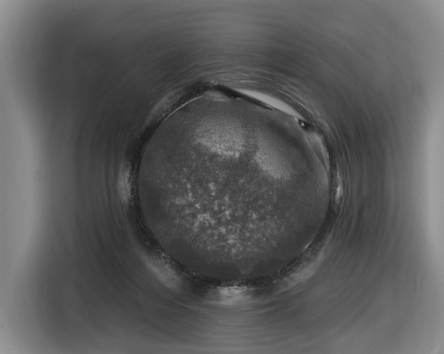 X0000116450216200912151306