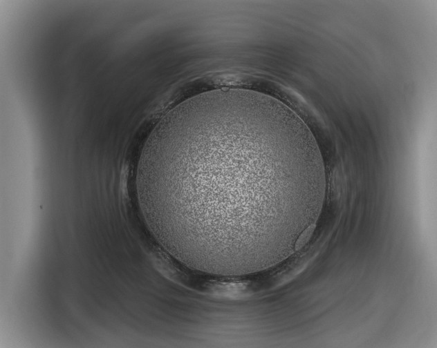 X0000116450217200912151306