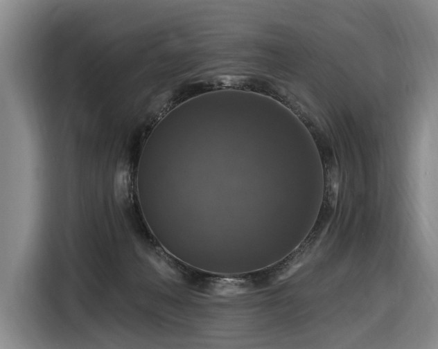X0000116450222200912151306