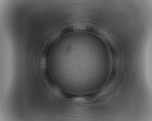 X0000116450224200912151306